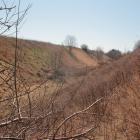 IMG_0416