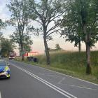 Fotka nr 1 z 2